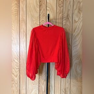 Ribbed Knit Top with Sheer Chiffon Balloon Sleeves